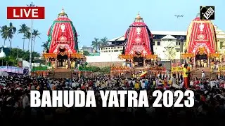 Live: Bahuda Yatra 2023: Holy Trinity&rsquo;s return journey to their original abode Srimandir