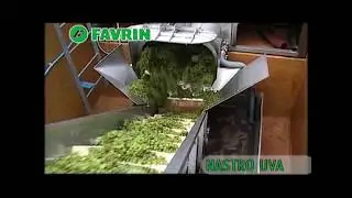 Nastro elevatore uva | Favrin Srl