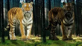 How to Paint Light and Shadow in GIMP