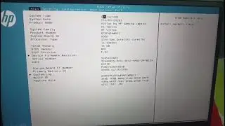 HP Victus Screen Flickering Issue Solved 🔧 | NVIDIA Driver Uninstall Fix | i5 13th Gen RTX 3050