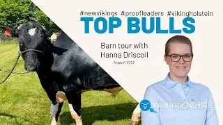 VikingHolstein - The Top New Sires & Proofleaders August 2022
