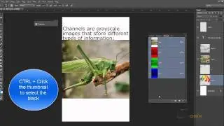 Adobe Photoshop Tutorial 35 - Color, Alpha and Spot Channels