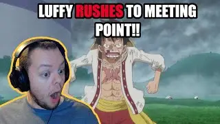 CAN LUFFY MEET SANJI?! l ONE PIECE EP 821 FIRST TIME REACTION