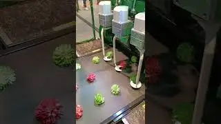 Стенд по сбору культур... Hannover 2025