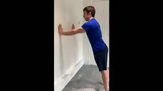 Wall Press Up Exercise