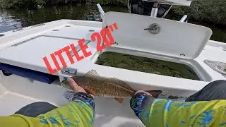 First Cast Magic: Boom! Redfish on the Line&mdash;Let&rsquo;s Reel It In! #redfishfishing
