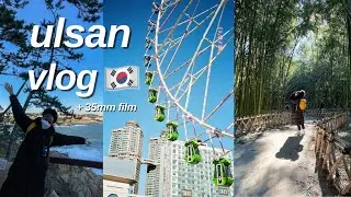 spending christmas ALONE outside of seoul⛄🇰🇷// ULSAN SOLO TRAVEL VLOG | black in korea | 35mm film