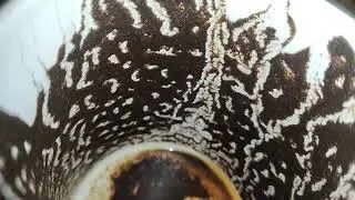 برج الاسد ♌ السر اللى كان مخفي عنك هينكشف دلوقتي مفاجات بتتجهز ليك فى السر وحقك #القارئه_ام_احمد