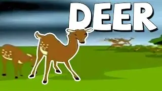 Know About Deer | Popular Cartoon Rhyme With Lyrics | 3D Nursery Rhymes For Children