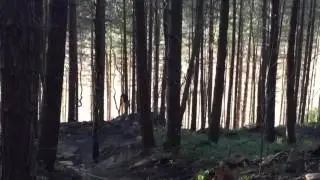 Wharncouver Wharncliffe Woods DH MTB Feb 2016