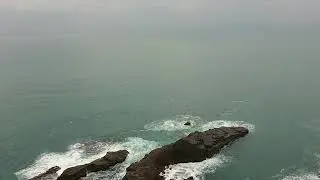 2019 Google Map Local Guides Connect Live Application Video---Bowen from Taiwan