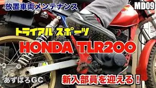 【放置車両】ホンダ TLR200   ／ホンダ TLR200を迎え入れました！  #01／ motorcycle maintenance HONDA TLR200 #01