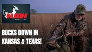 Bucks DOWN in Kansas & Texas!