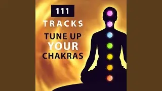 The Chakras System