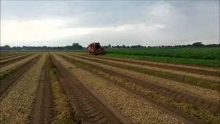 1e jaars plantuien rooien met Amac ZM 4