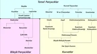 Atom altı parçacıklar konu özeti👾/ #yks2025 #aytfizik
