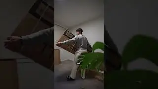 I moved out for the first time in my life
