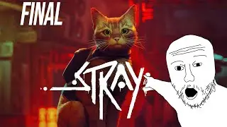 Stray - Capitulo Final