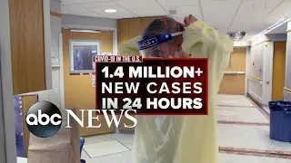 1.4 million new COVID cases reported in 24 hours