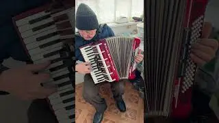 Weltmeister, Rare model Amigo, Accordion, 80 Bass, 3 voice, 5+3 register, Germany accordion, ON SALE