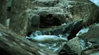 Falls