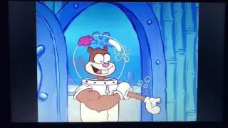 Musclebob buffpants-sandy's muscles