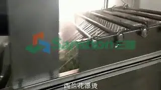 broccoli freezing processing line machine