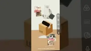 real cat adopt #cat #cute #kawaii #emoji #cutecore #soft #sounds