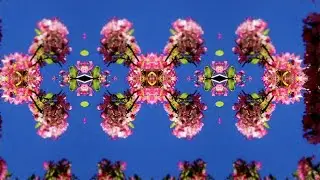 XAM Duo - Blue Comet (Official Video)