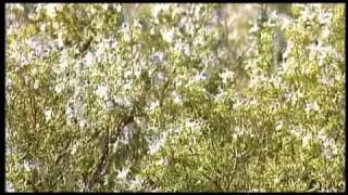 Ave Levante - Tramo Aranjuez-Ontígola parte 1