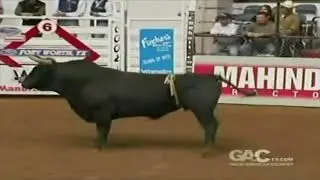 Hasta Luego bucks Colin McTaggart - 09 CBR Fort Worth