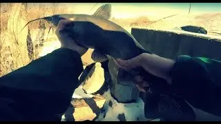 Catfish on Jigging Rap - Holloway Dam Fishing S2|Fish 1