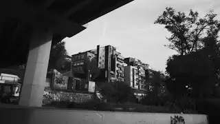 Dirty Porko - Carpe Diem (Visualizer)