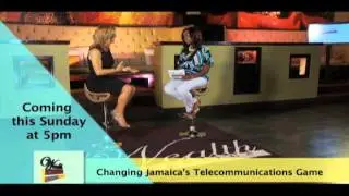 Wealth Magazine Business Access: Michele English, President & COO of Flow Part II