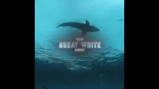 Rulers Of The Ocean 🐋🔥 [Orcas/Killer Whale] Edit🎬 | Noir-Sho - #shorts #orcas #fyp