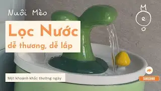 Cách Lắp Ráp Máy Lọc Nước Cho Chó Mèo Siêu Dễ Trong 2 Phút!