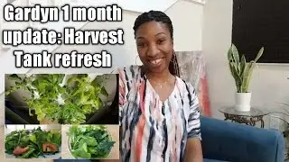 Gardyn Home 1 month update - Harvest, Tank Refresh, Vacation Mode
