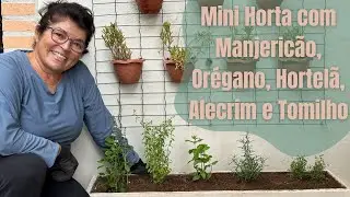 COMO FAZER UMA MINI HORTA COM MANJERIC&Atilde;O, OR&Eacute;GANO, HORTEL&Atilde;, ALECRIM E TOMILHO @mazejardinagem3741