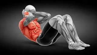 TRANSFORME TON CORPS EN 1 MINUTE DE SPORT PAR JOUR ✨