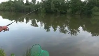 belle tanche / peche a l'anglaise...