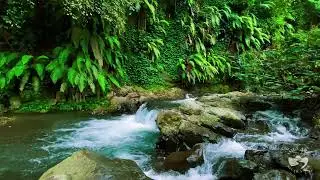 Relaxing River Sounds at Night | Peaceful Natural Water Flow for Sleeping