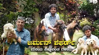 ಮನೆಯ ನಿಷ್ಠಾವಂತ ಗೆಳೆಯ Best Puppies Dealer In Bangalore At Best Price Deekshith Kennel | Kannada Vlogs