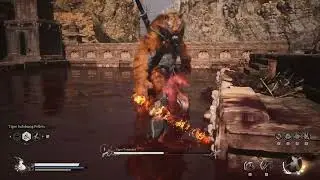 Perfect See Through + Rock Solid - Tiger Vanguard Boss Fight