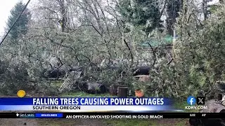 Fallen tree traps Cave Junction resident inside home