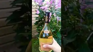 бренди jp. chenet
