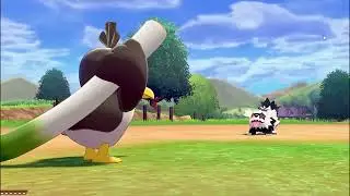 Pokemon Sword Ep.125 - Still No Seedot