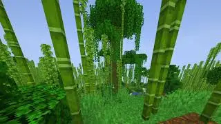 First MC Intro Video
