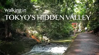 Todoroki Valley & Temple | Relaxing Walk in Tokyo, Japan