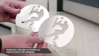 Timesavers 32 series WRBW voor ontbramen, kantafronding, laser oxide verwijdering en finishen