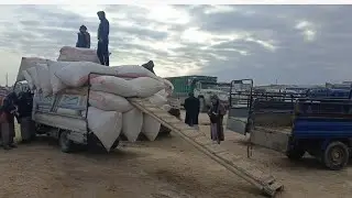 طلب للتبن المباشر-والحنطه شبه مفقودة#لا طلب على كمون #سوق الأعلاف جنوب الحسكة 17كانون الثاني. 